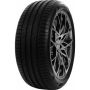 Легковая шина Delinte DS2 225/45 R19 96W